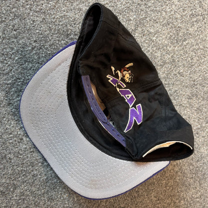 90s TAZ Colorado Rockies Hat