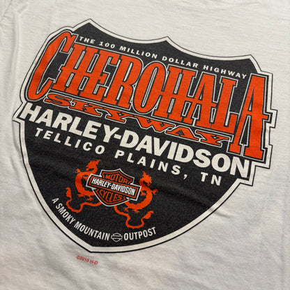 2010 Harley Davidson T-Shirt - M